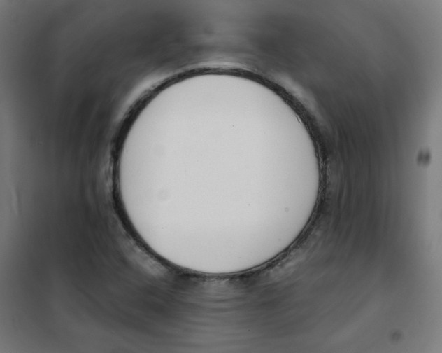 X0000101661408200808071010