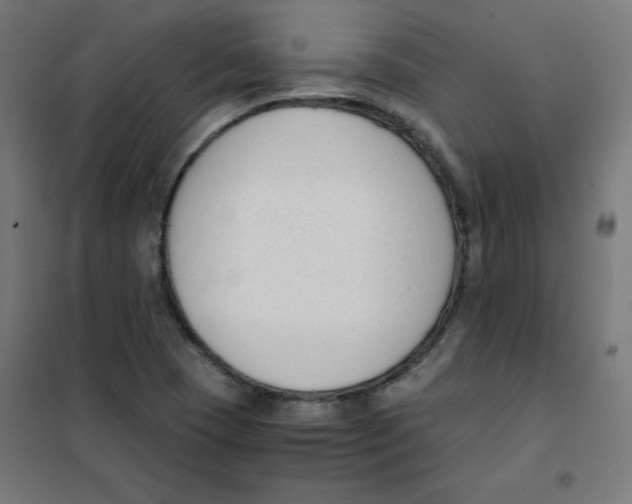X0000101661409200808071010