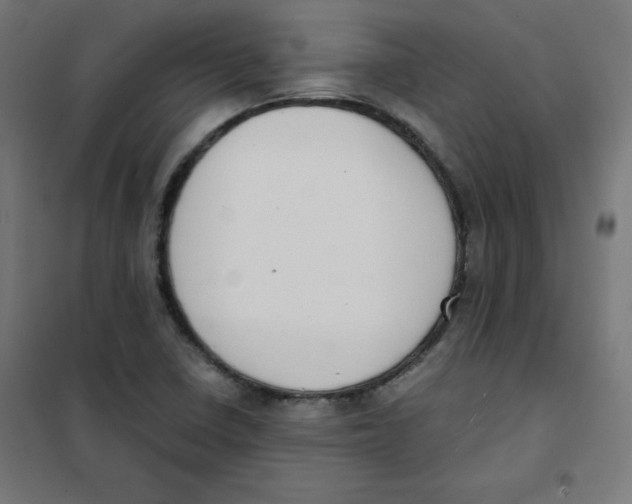 X0000101661410200808071010