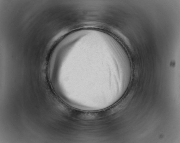 X0000101661411200808071010