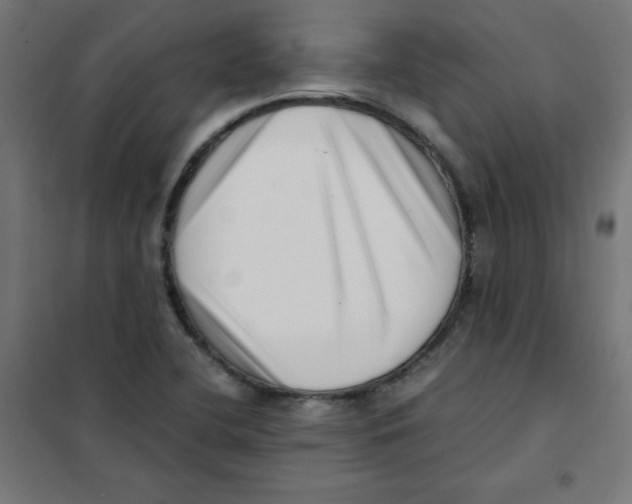 X0000101661412200808071010