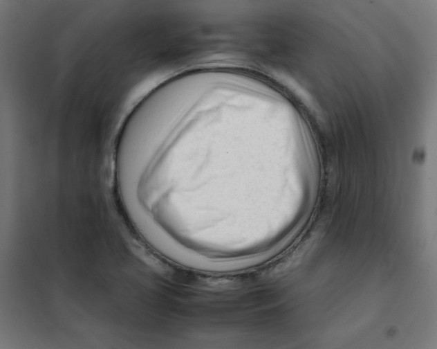 X0000101661413200808071010
