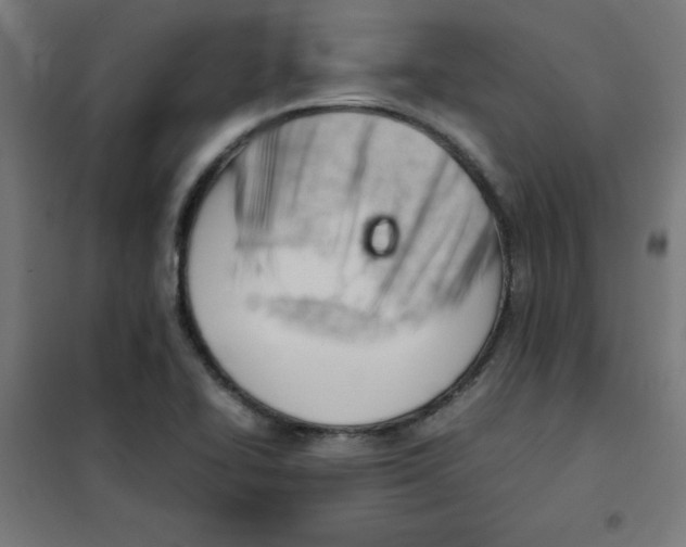 X0000101661414200808071010