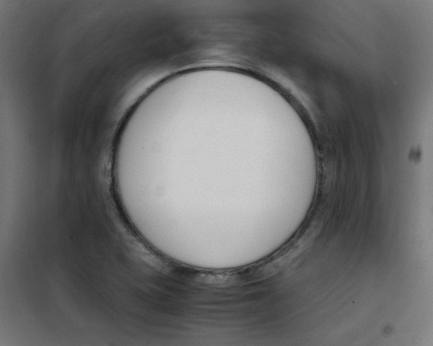 X0000101661415200808071010