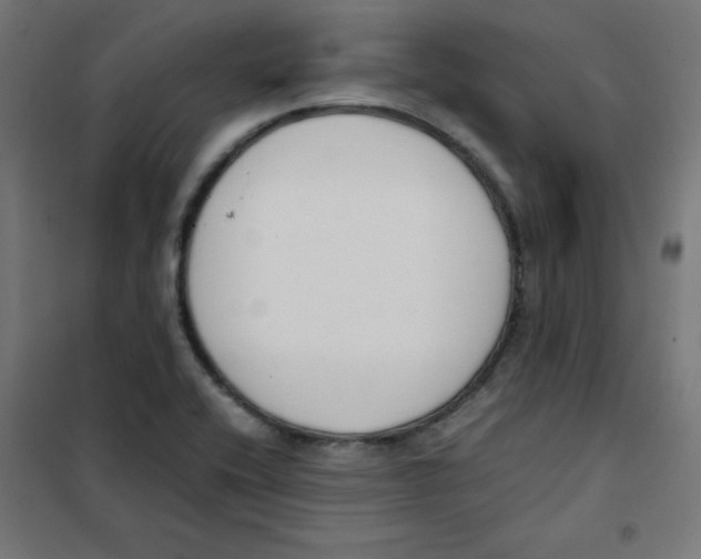 X0000101661416200808071010