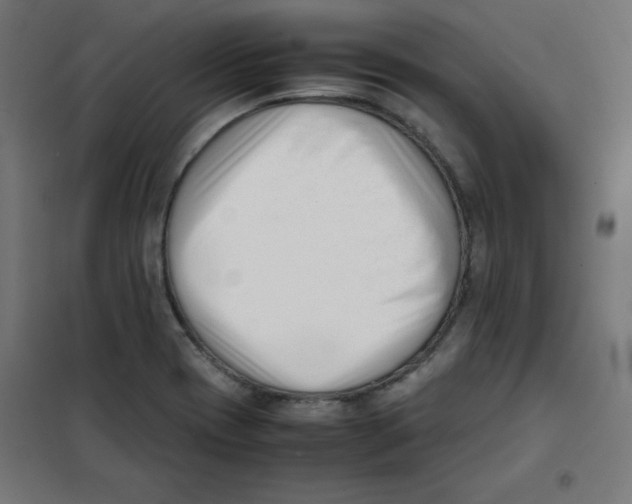 X0000101661417200808071010