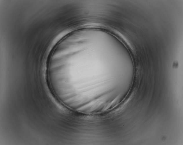 X0000101661418200808071010