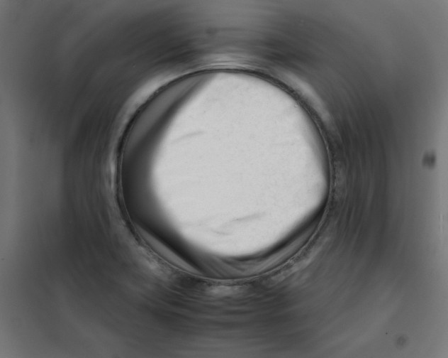 X0000101661419200808071010
