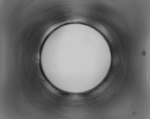 X0000101661420200808071010