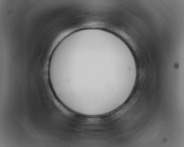 X0000101661421200808071010