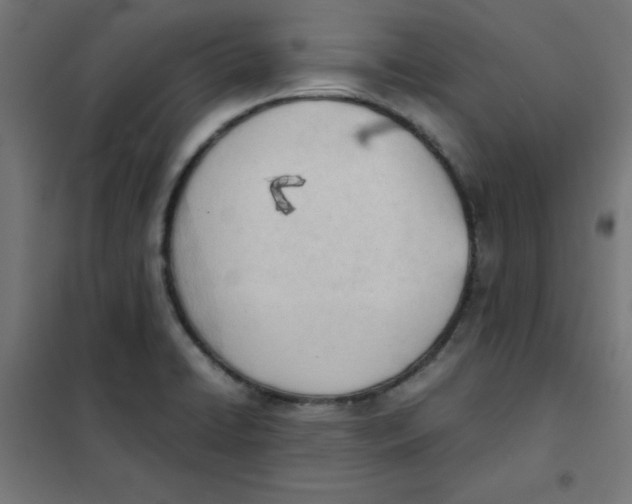 X0000101661422200808071010