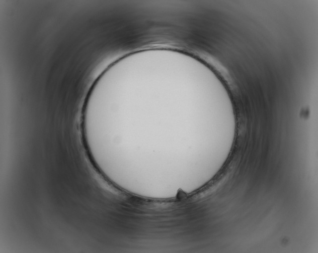 X0000101661423200808071010