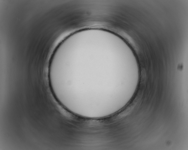 X0000101661424200808071010