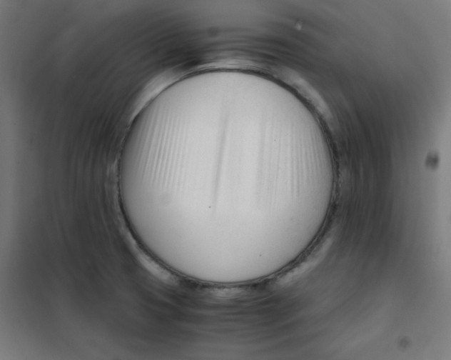 X0000101661425200808071010