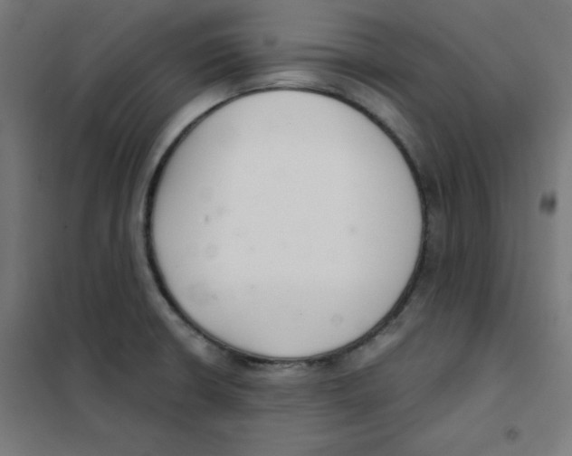 X0000101661426200808071010