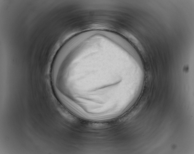 X0000101661427200808071010