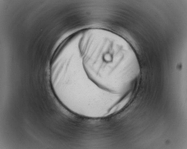 X0000101661428200808071010