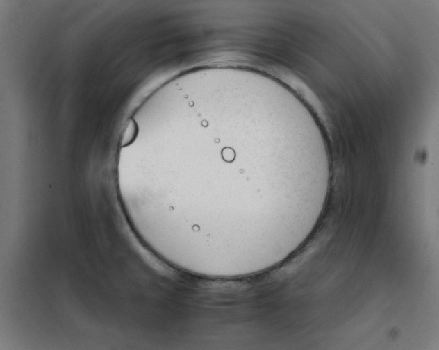 X0000101661429200808071010