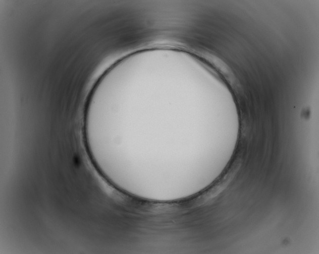 X0000101661430200808071010