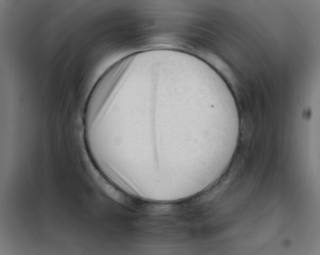 X0000101661431200808071010