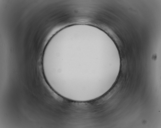 X0000101661432200808071010