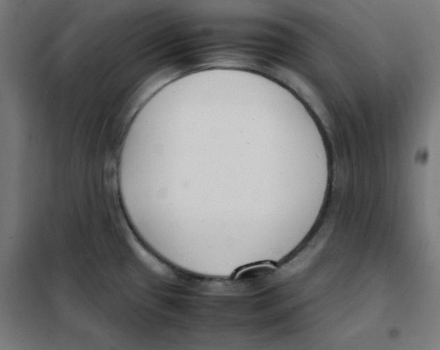 X0000101661433200808071010