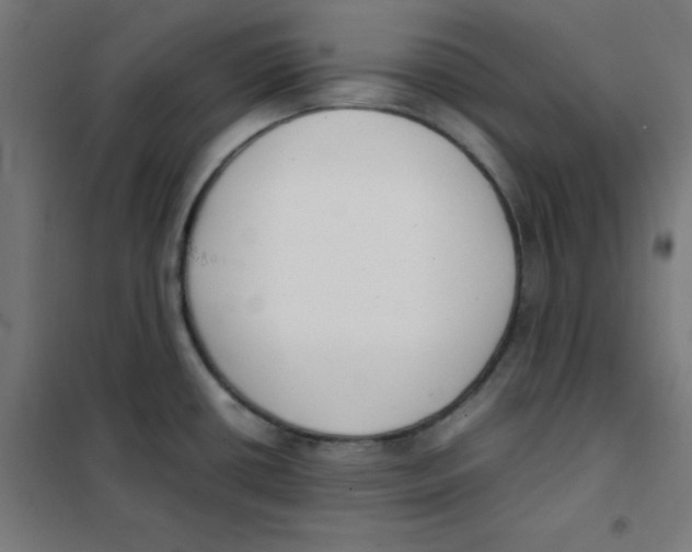 X0000101661434200808071010