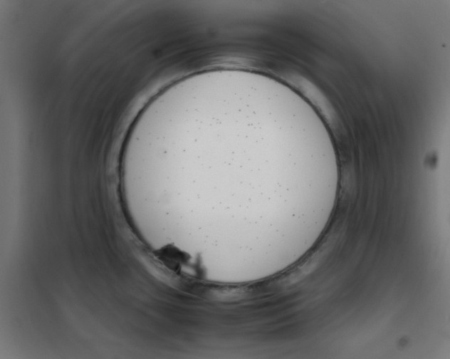X0000101661435200808071010