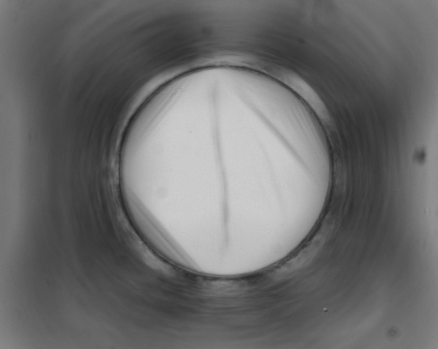 X0000101661436200808071010