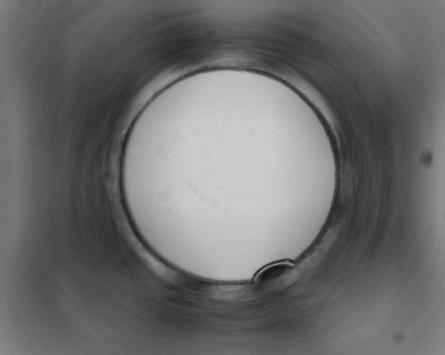 X0000101661437200808071010