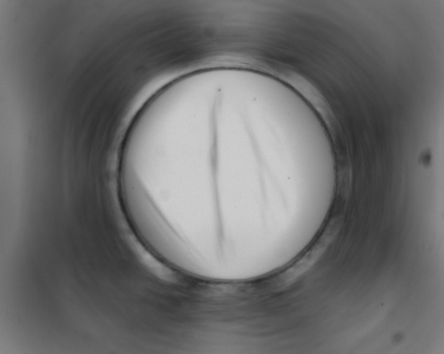X0000101661438200808071010