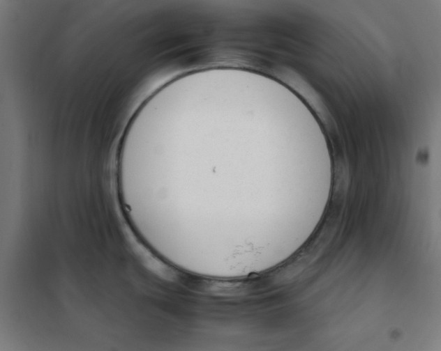 X0000101661439200808071010