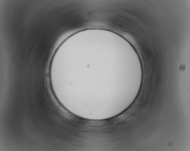 X0000101661440200808071010
