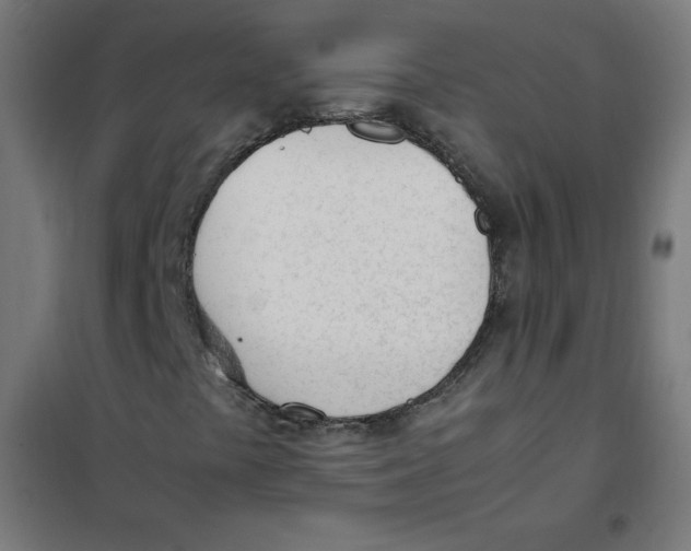 X0000101661441200808071010