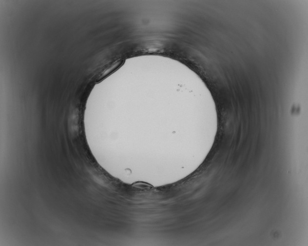 X0000101661442200808071010