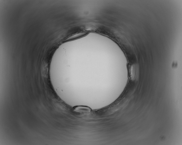 X0000101661443200808071010