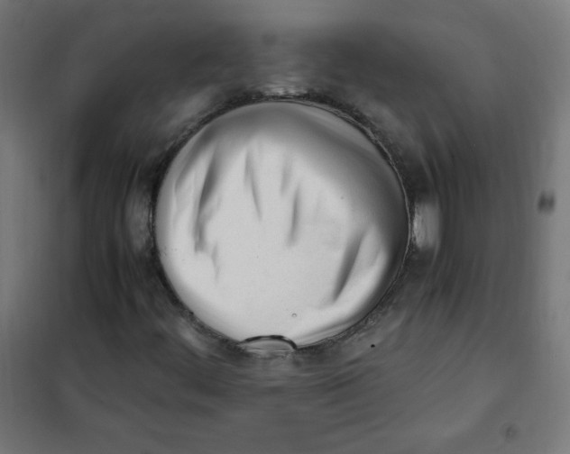 X0000101661444200808071010