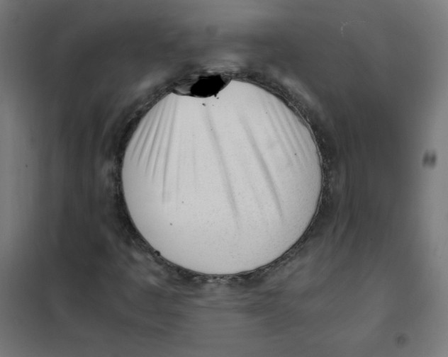 X0000101661445200808071010