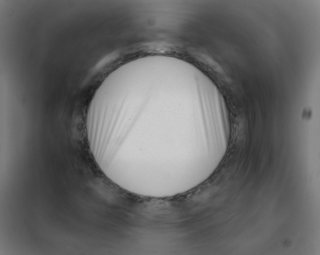 X0000101661446200808071010