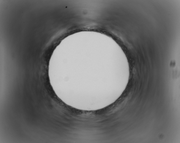 X0000101661447200808071010
