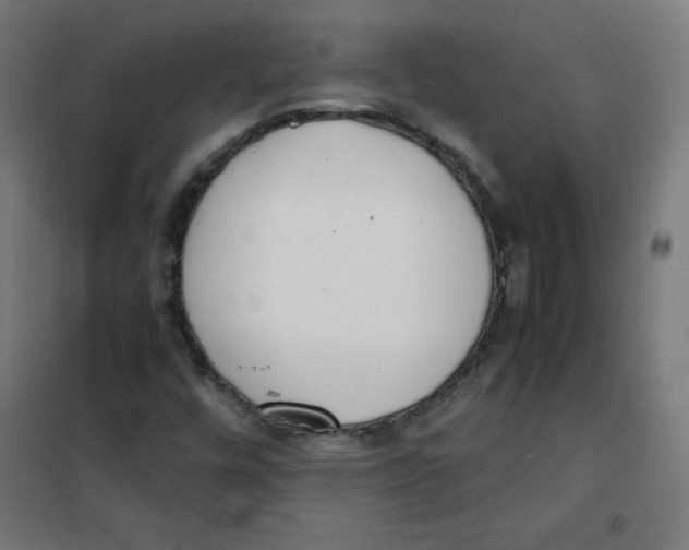 X0000101661448200808071010