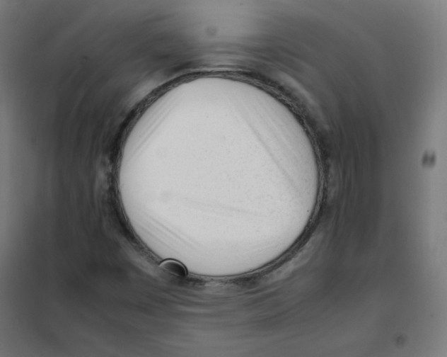 X0000101661449200808071010
