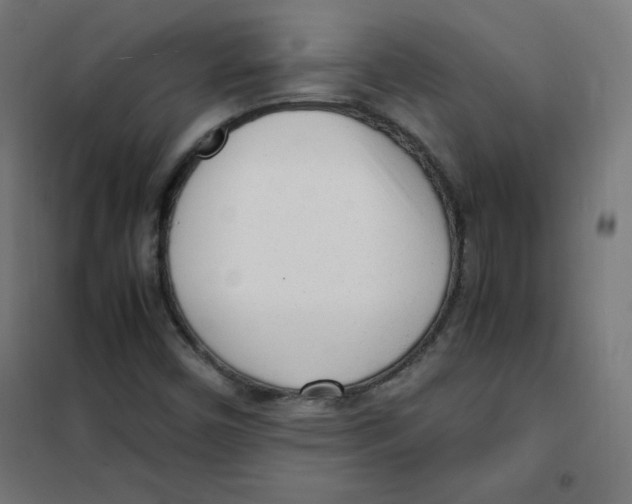 X0000101661450200808071010
