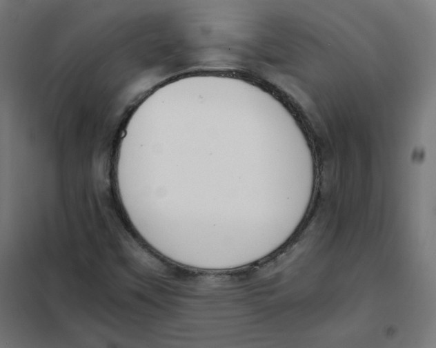X0000101661451200808071010