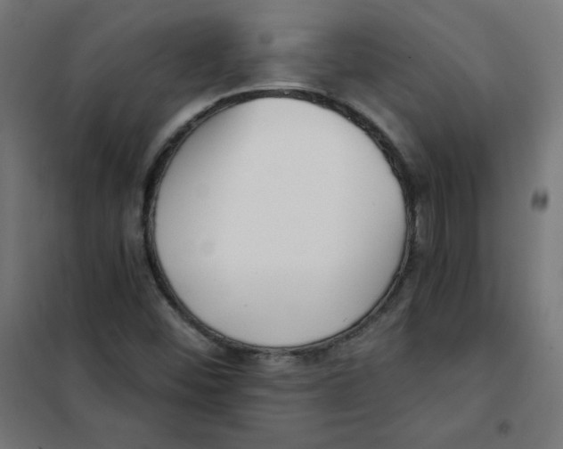 X0000101661452200808071010