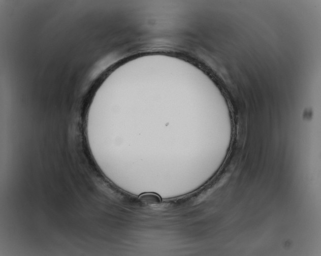 X0000101661453200808071010