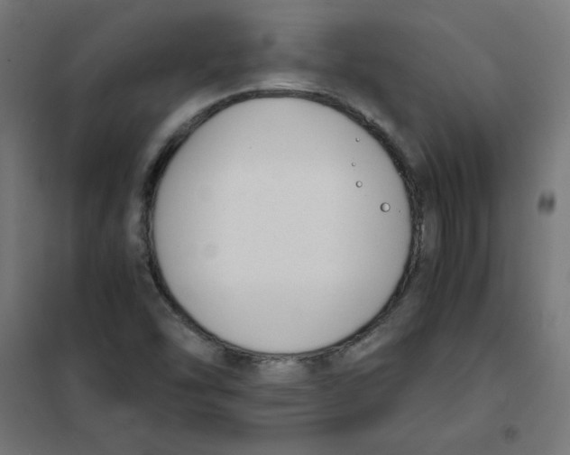 X0000101661454200808071010