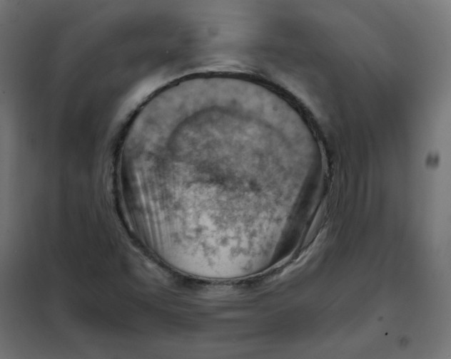 X0000101661455200808071010