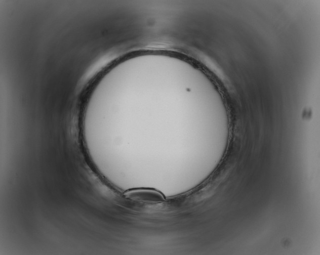 X0000101661456200808071010