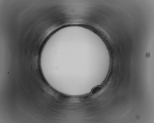 X0000101661457200808071010
